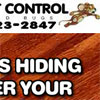 Lloyd Pest Control Campaign