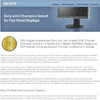 Channel Champion Award
